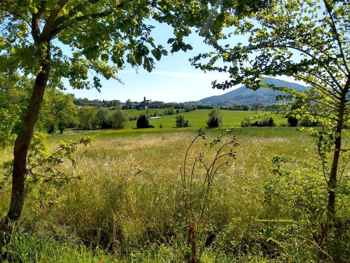Le Piracante Caiazzo Bagian luar foto