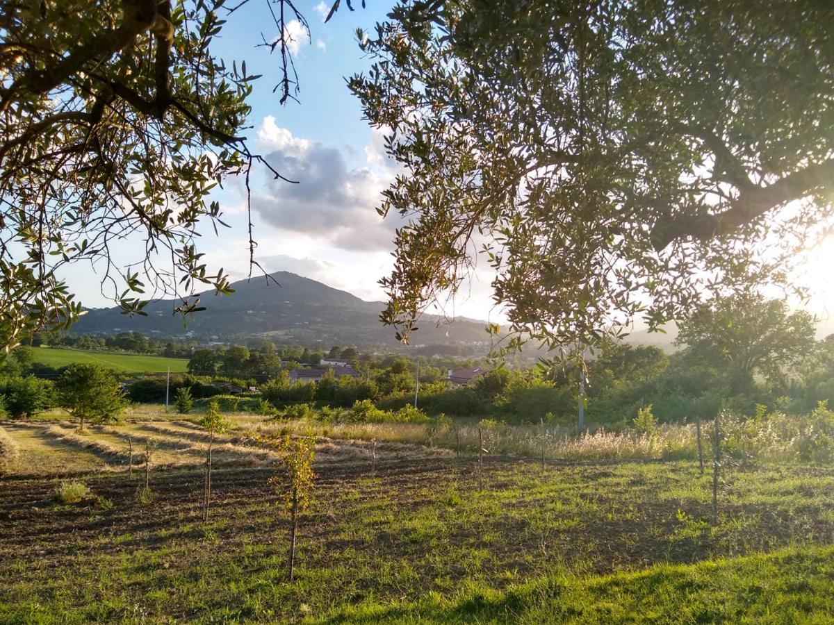 Le Piracante Caiazzo Bagian luar foto