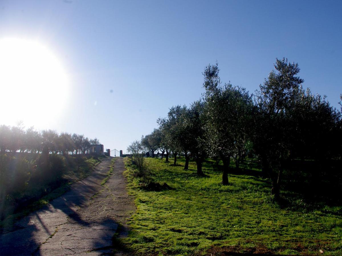 Le Piracante Caiazzo Bagian luar foto