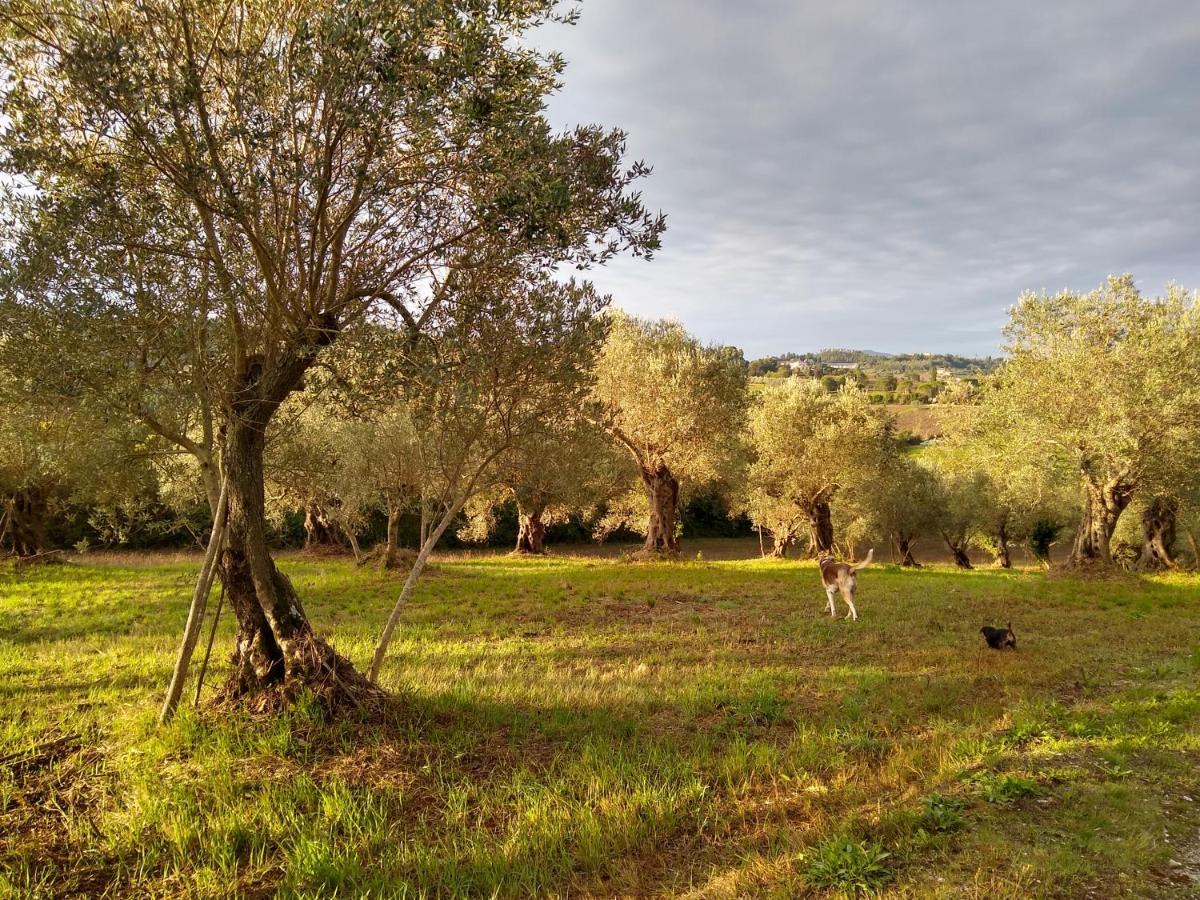 Le Piracante Caiazzo Bagian luar foto