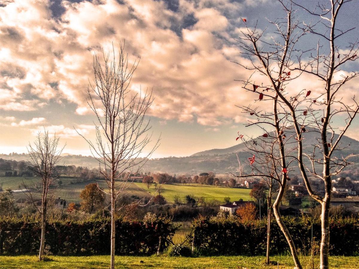 Le Piracante Caiazzo Bagian luar foto