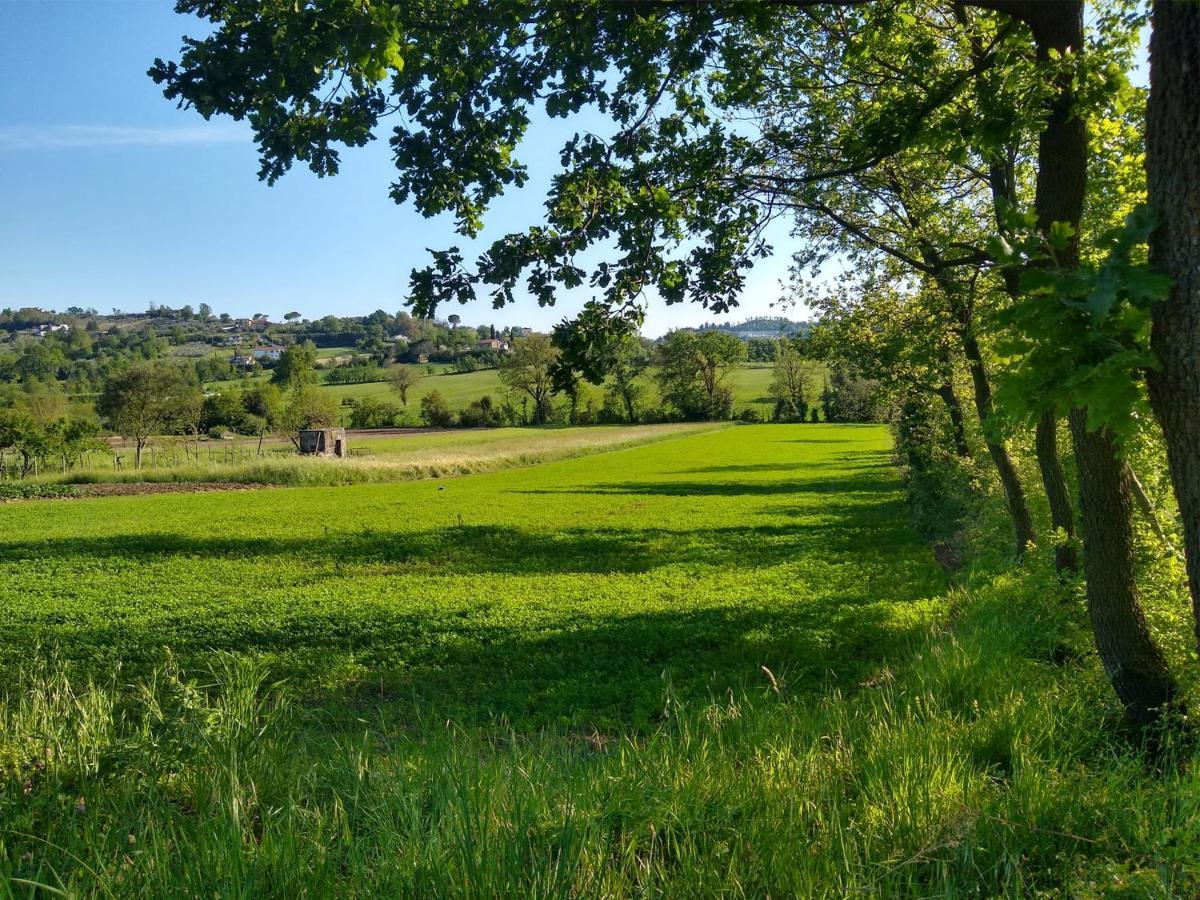 Le Piracante Caiazzo Bagian luar foto