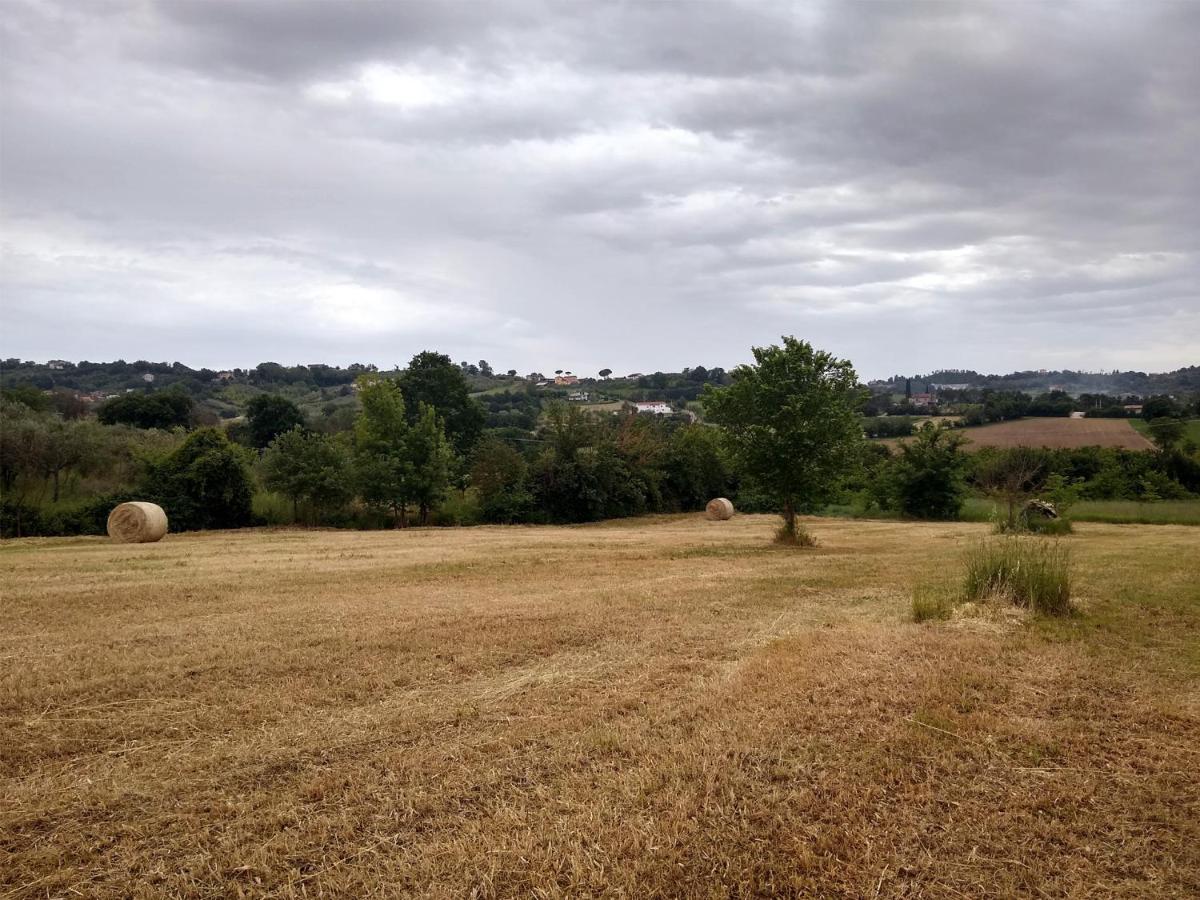 Le Piracante Caiazzo Bagian luar foto