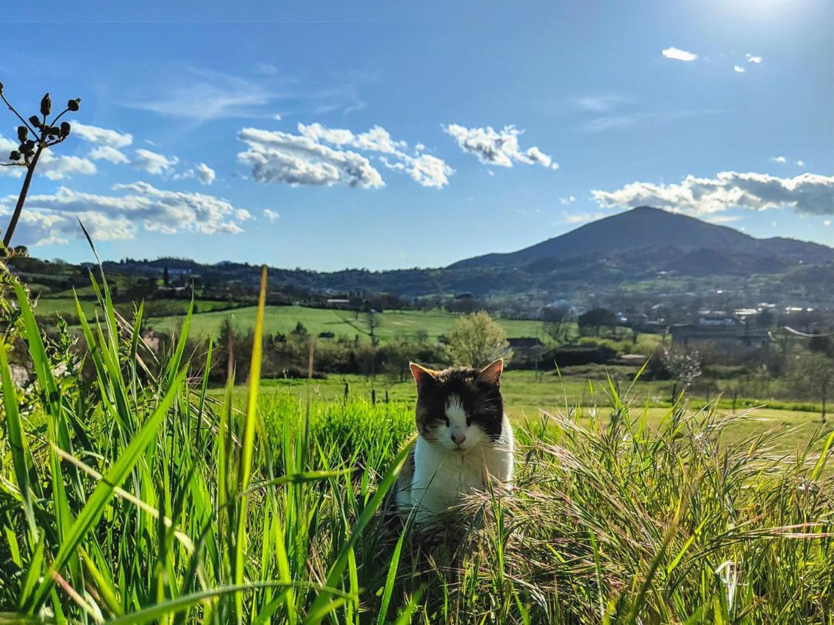 Le Piracante Caiazzo Bagian luar foto