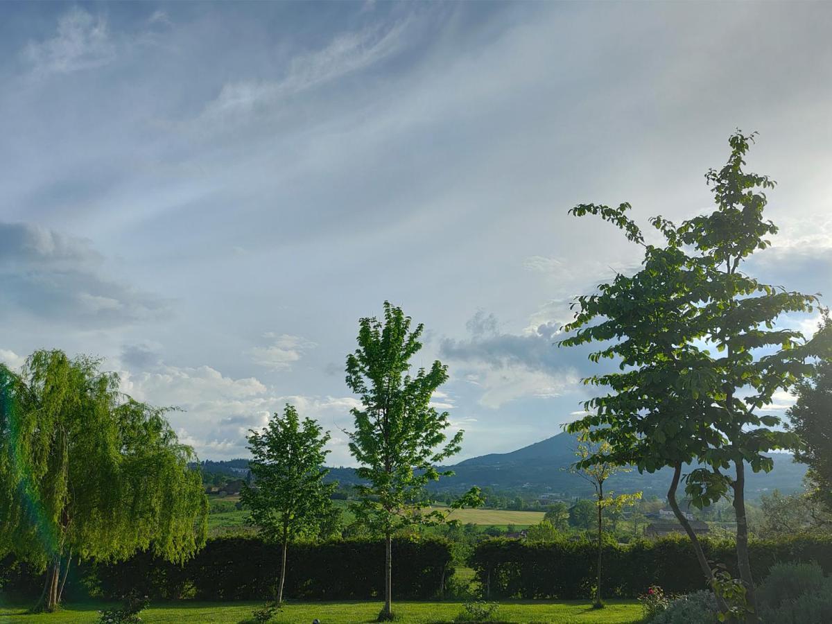 Le Piracante Caiazzo Bagian luar foto