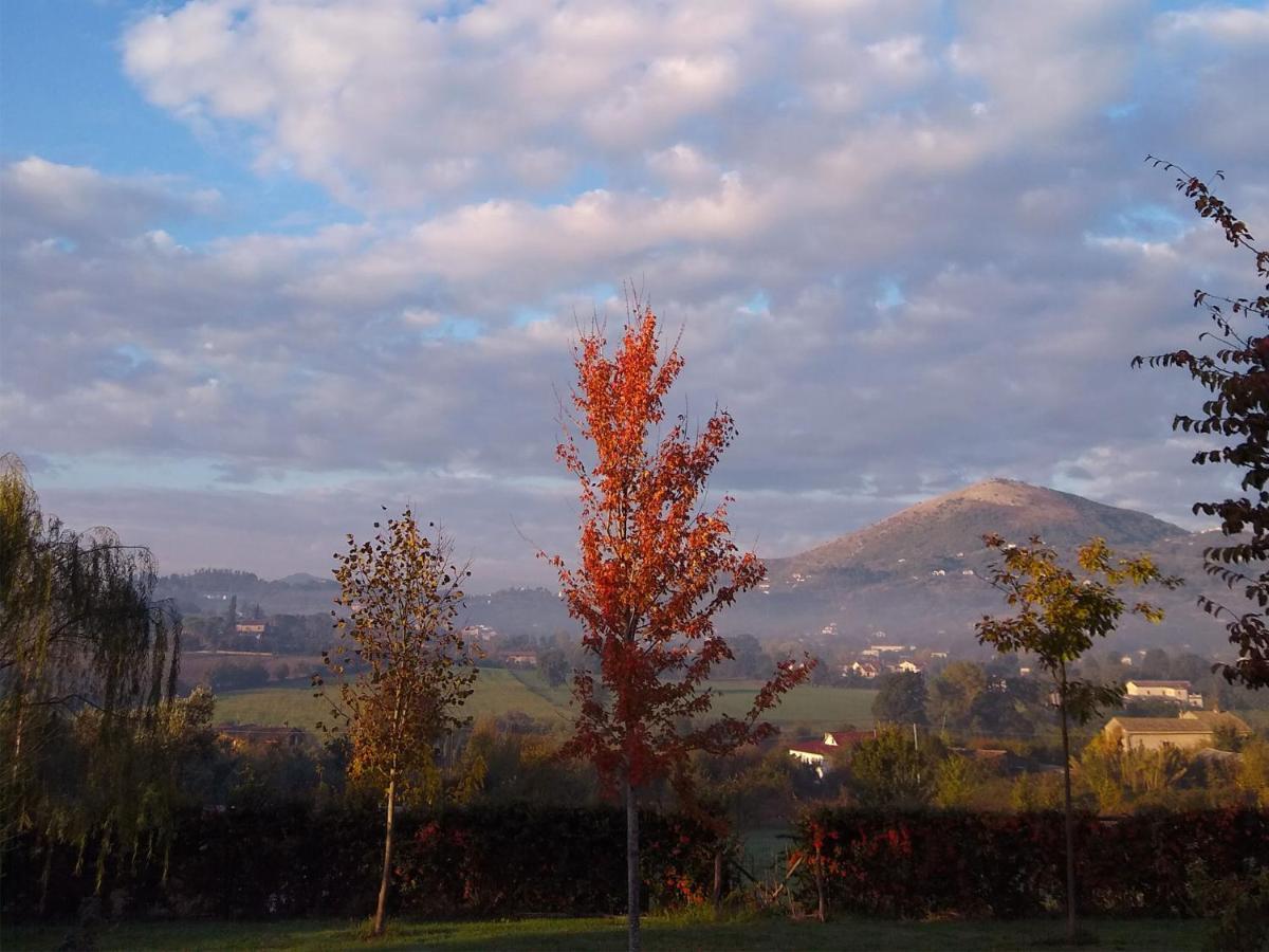 Le Piracante Caiazzo Bagian luar foto